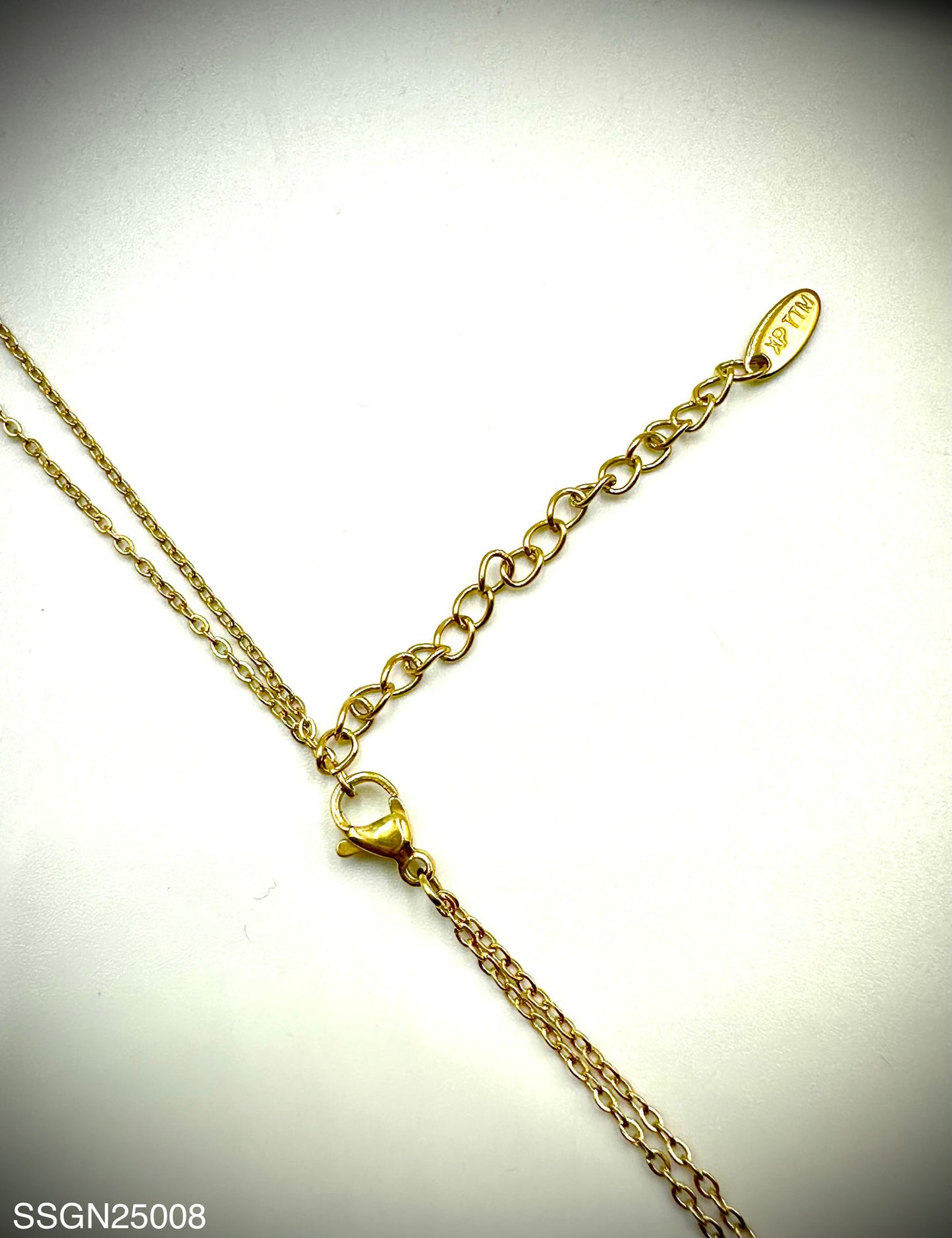 Stainless Steel Necklace (SSGN25008)