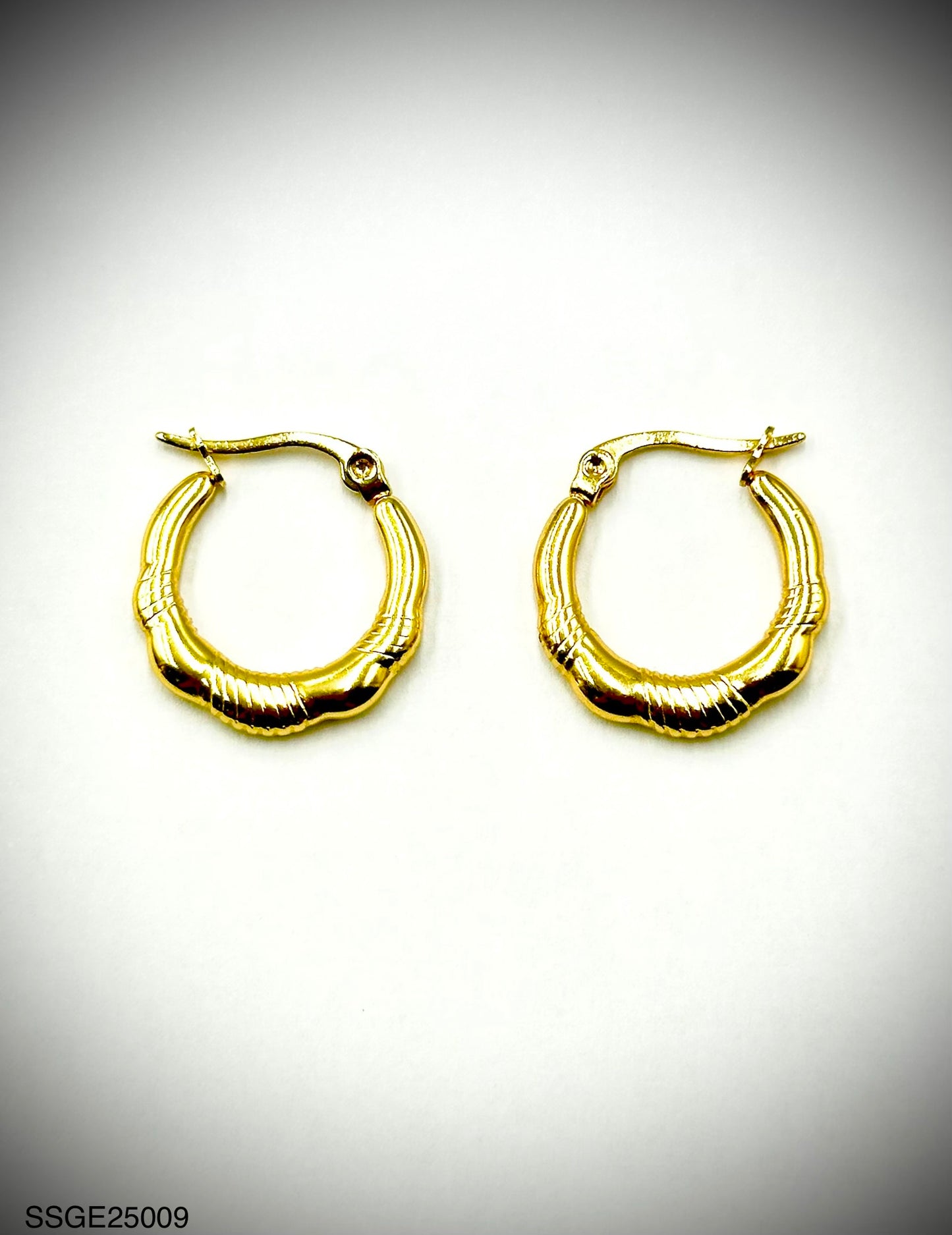 Stainless Steel Earrings (SSGE25009)