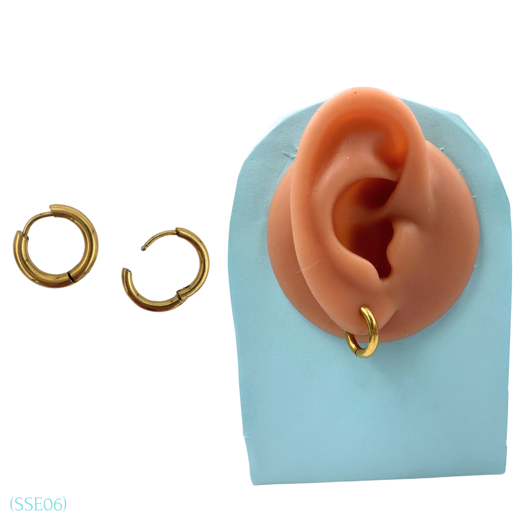 Stainless Steel Earrings SSE06