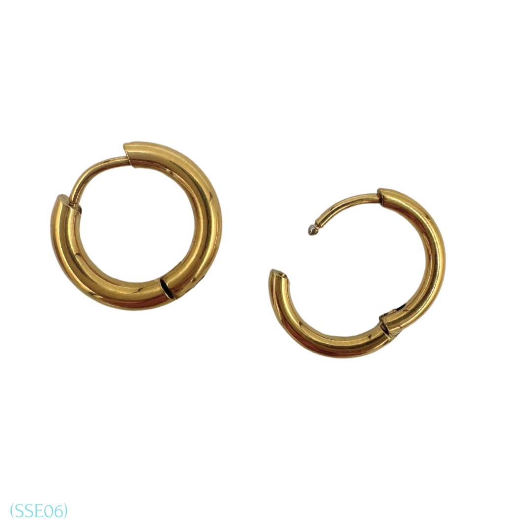Stainless Steel Earrings SSE06