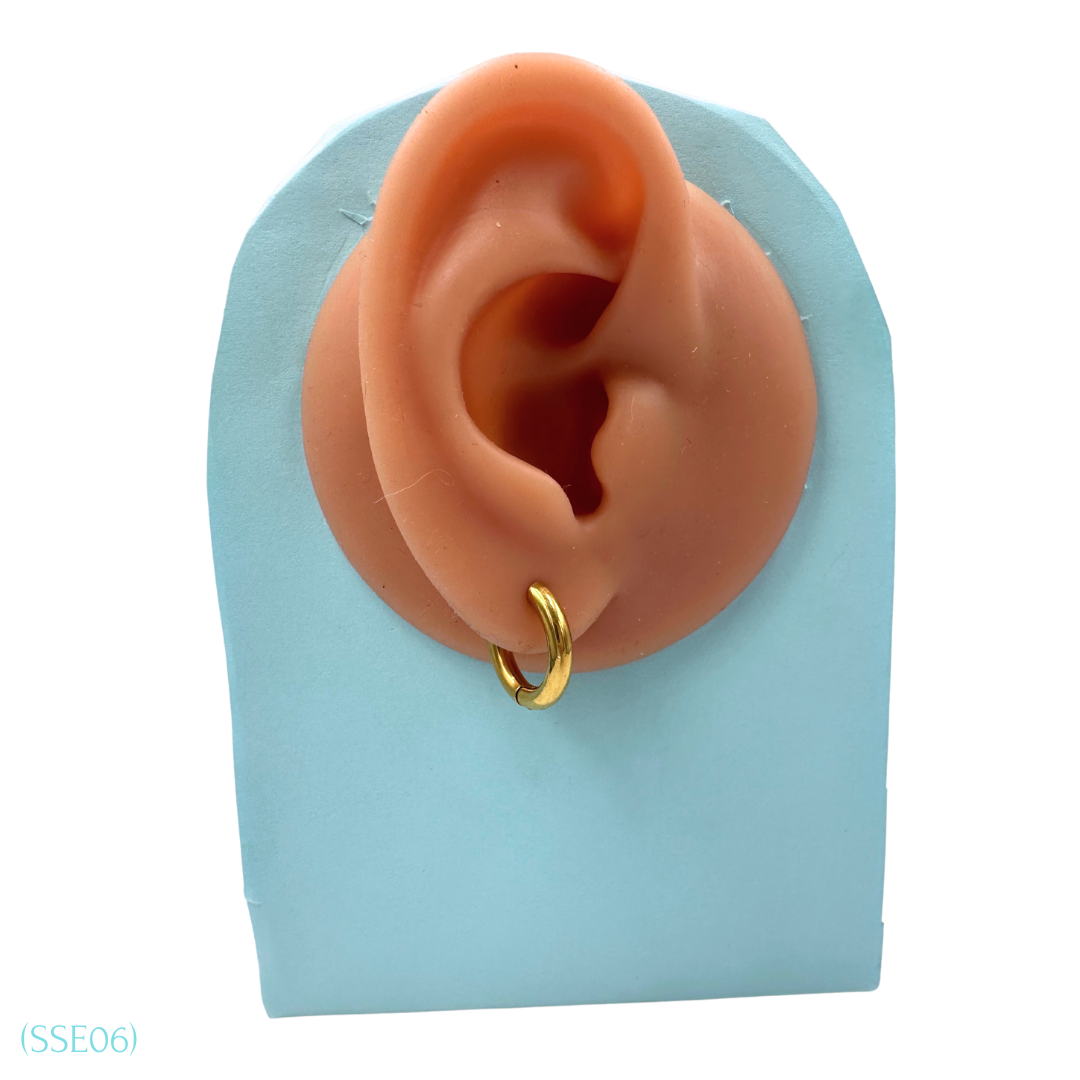 Stainless Steel Earrings SSE06
