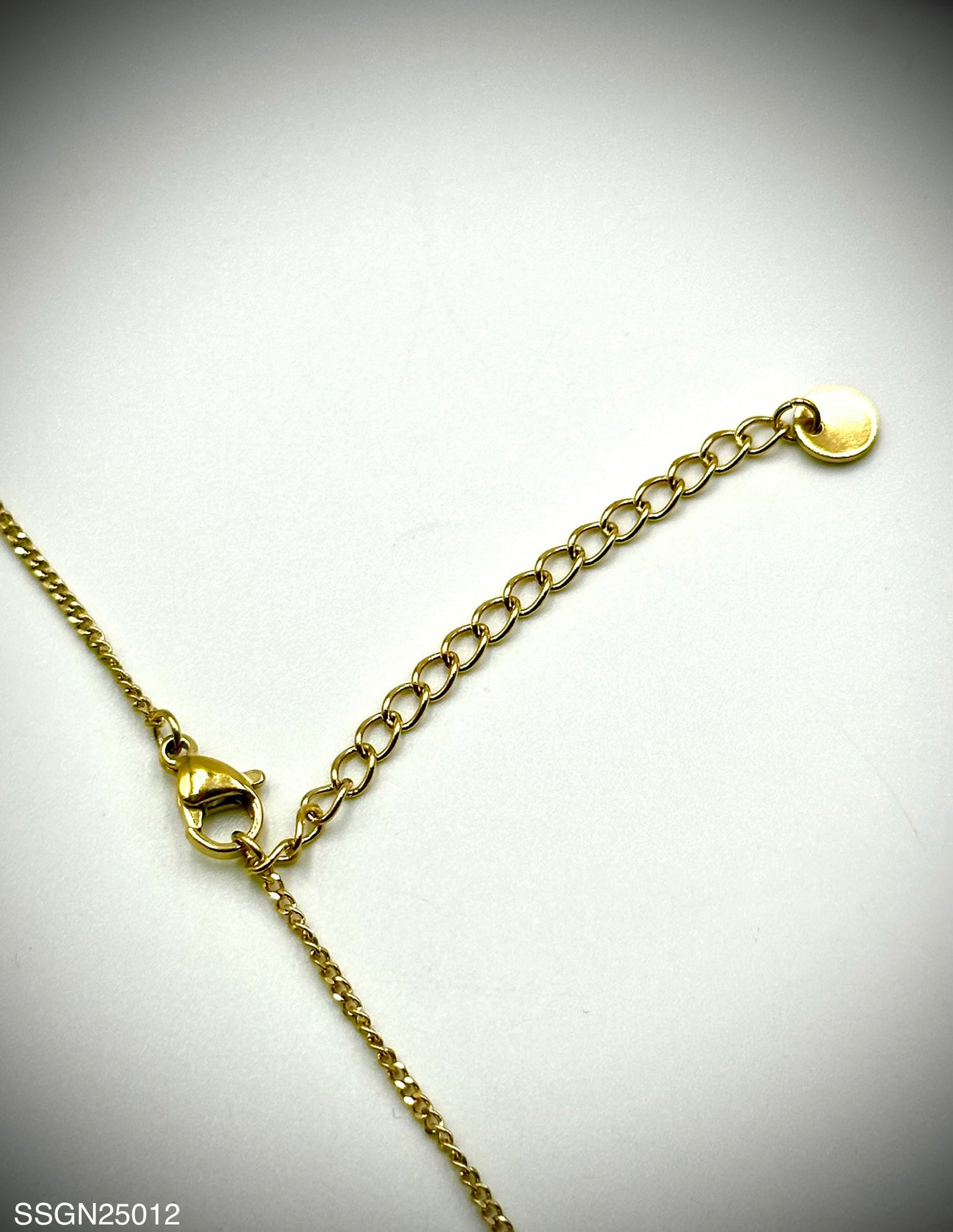 Stainless Steel Necklace (SSGN25012)