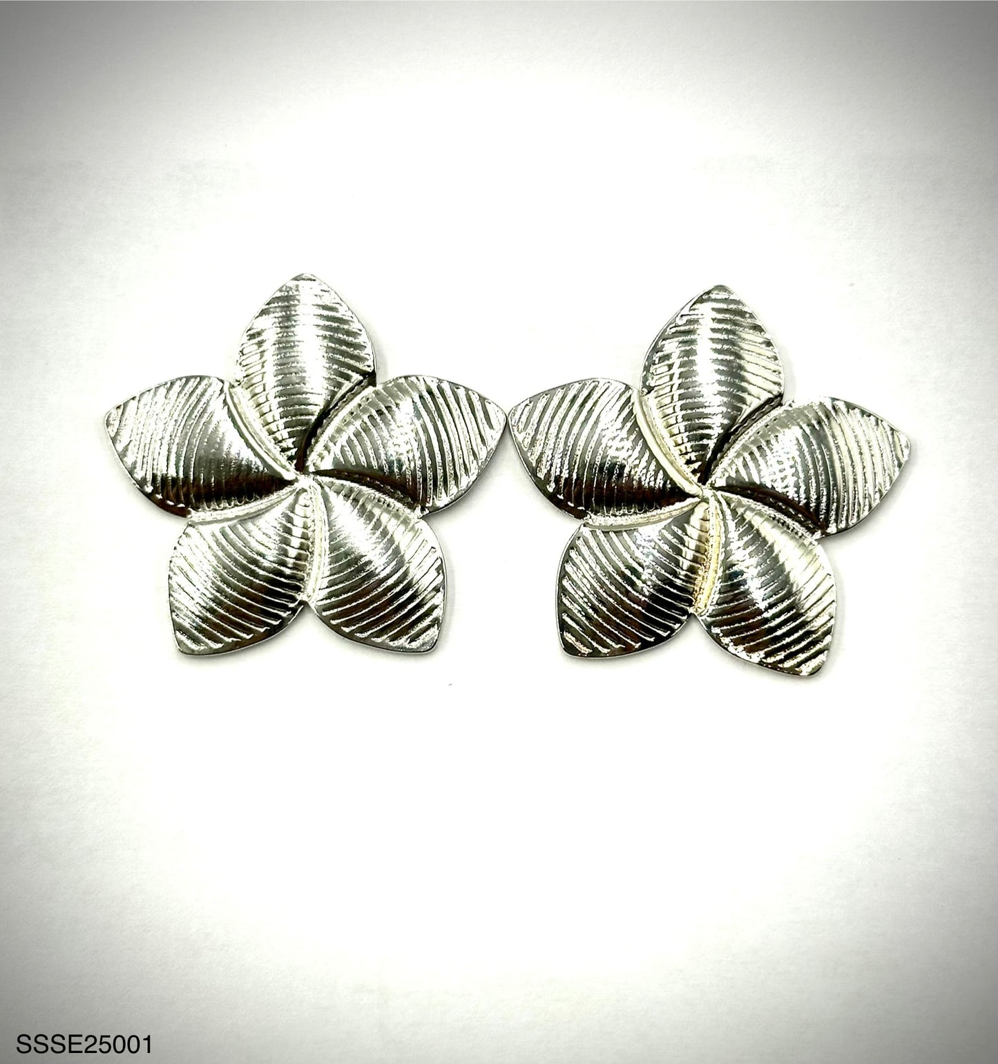 Stainless Steel Earrings (SSSE25001)