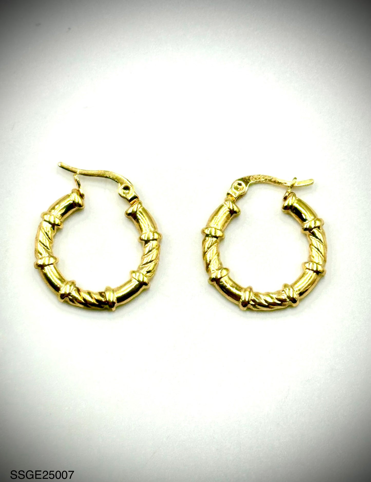 Stainless Steel Earrings (SSGE25007)