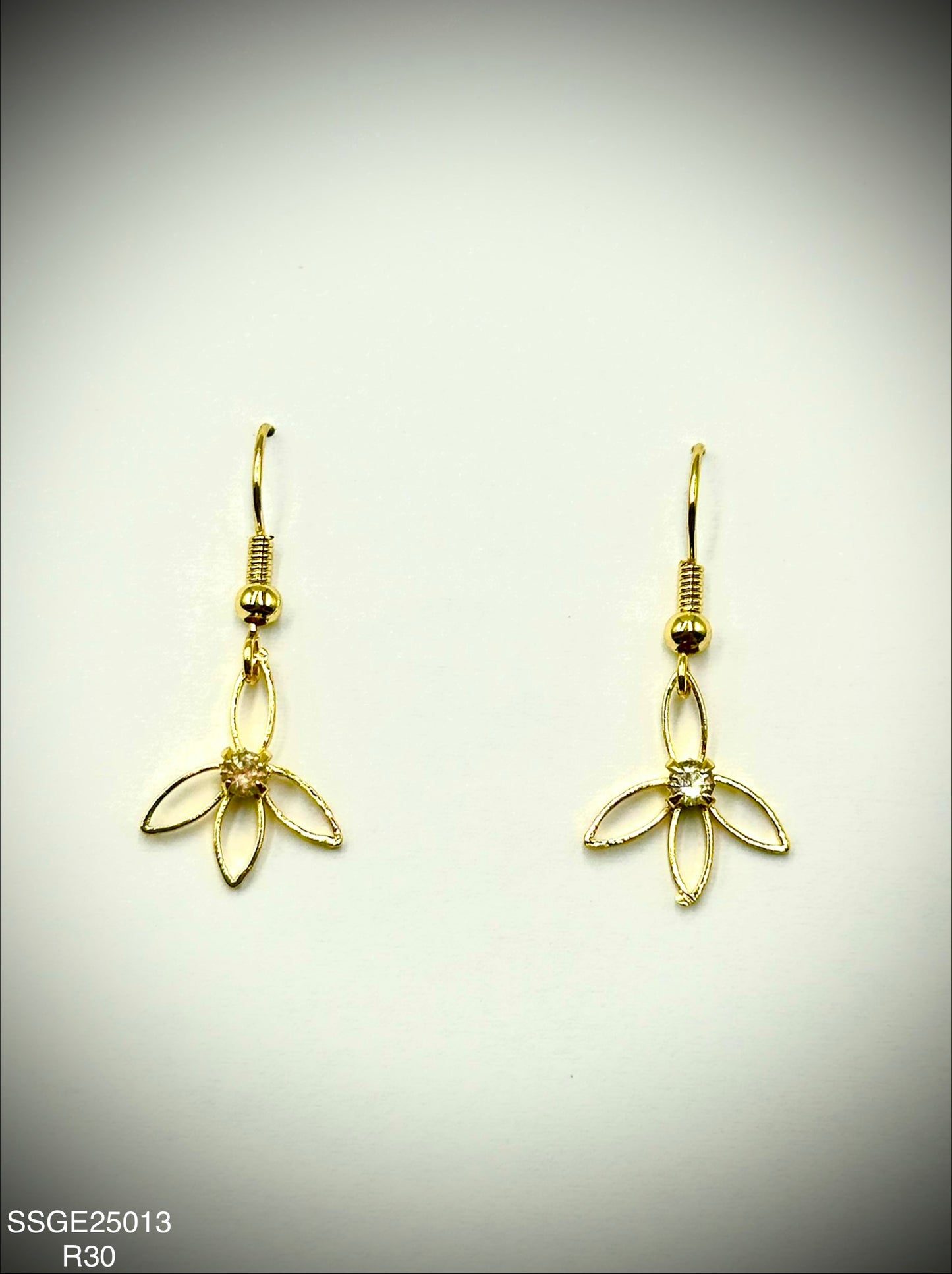 Stainless Steel Earrings (SSGE25013)