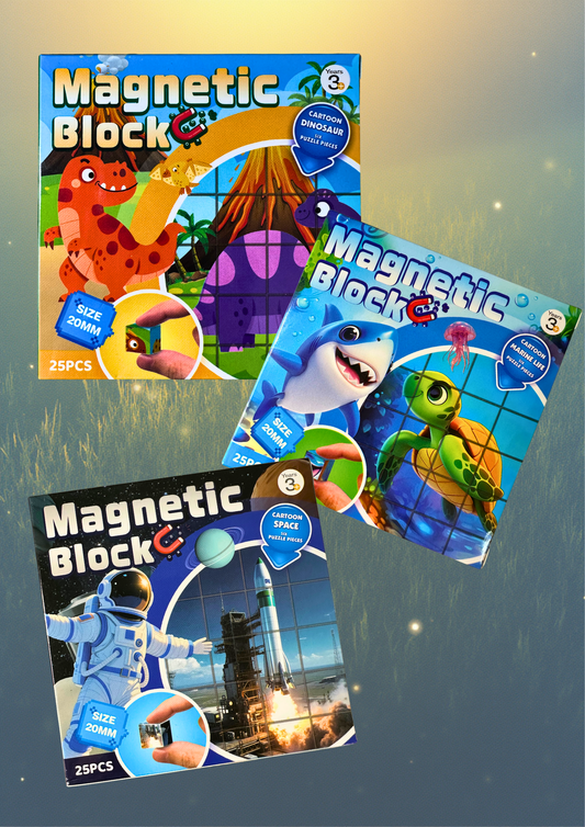 Magnetic Block Puzzle