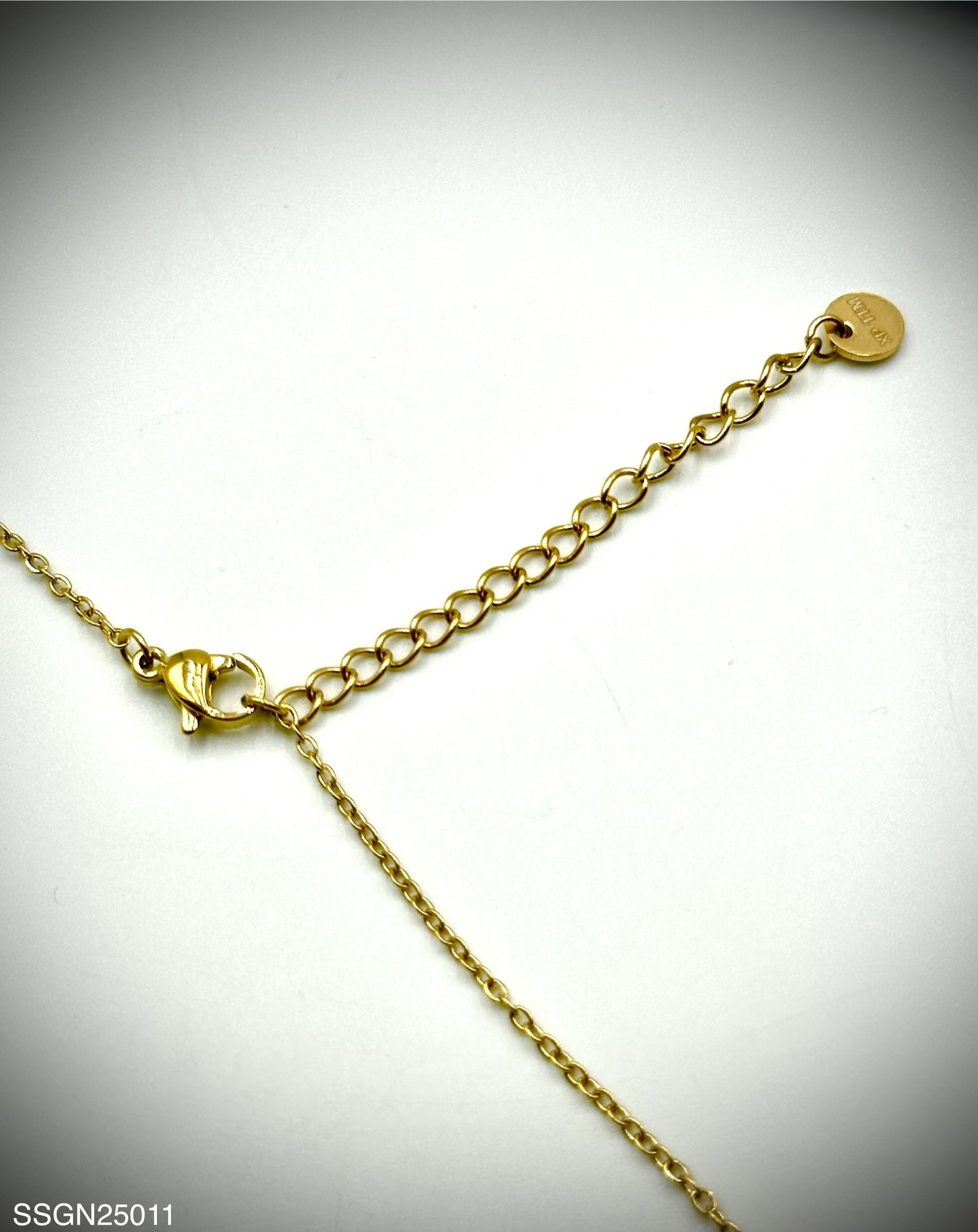 Stainless Steel Necklace (SSGN25011)