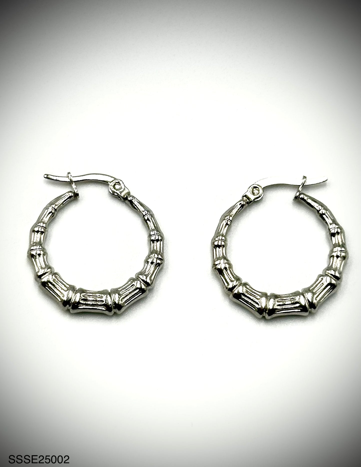 Stainless Steel Earrings (SSSE25002)