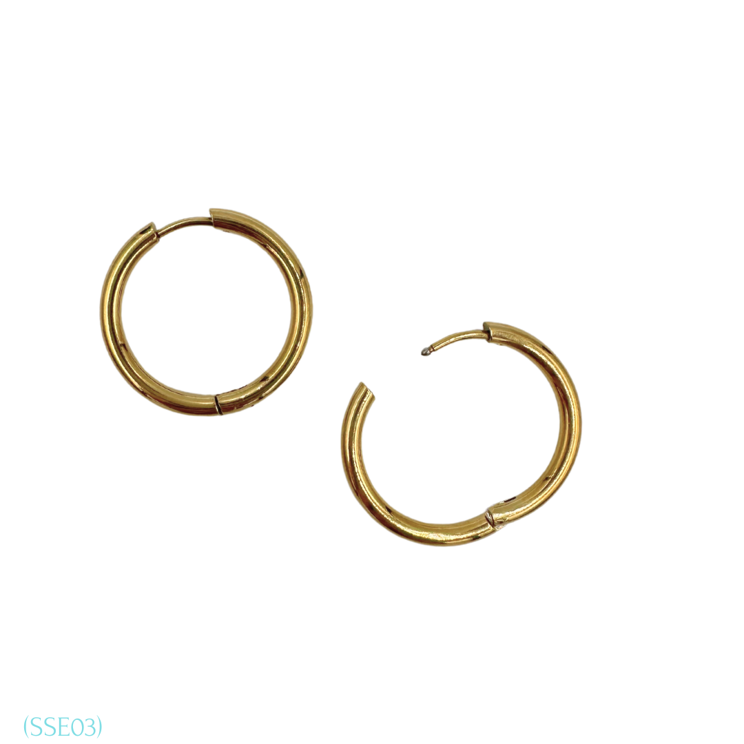 Stainless Steel Earrings SSE03