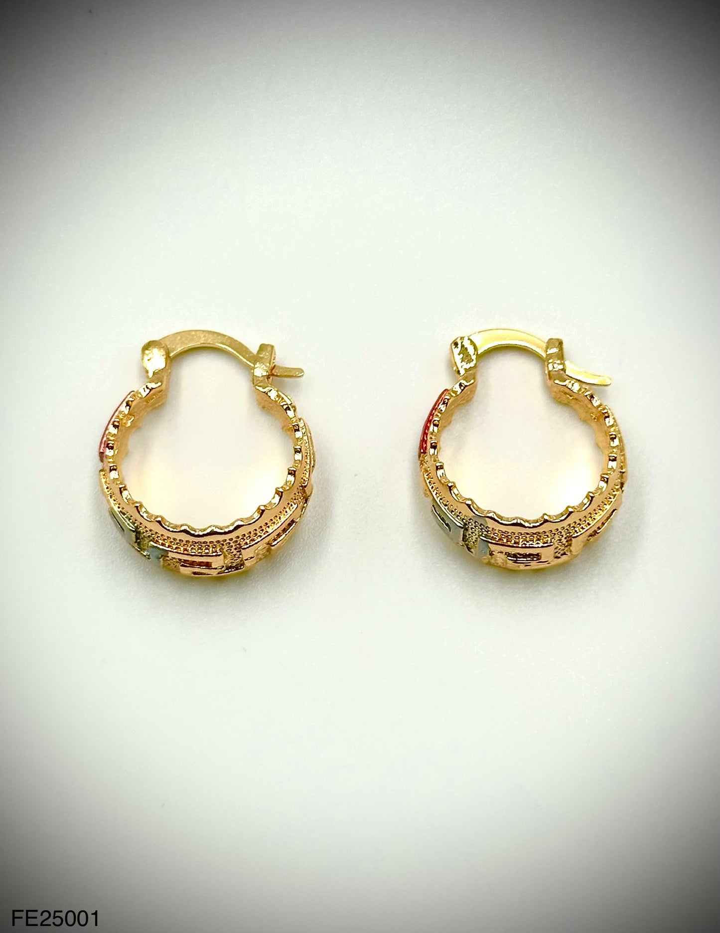 Fashion Earring (FE25001)