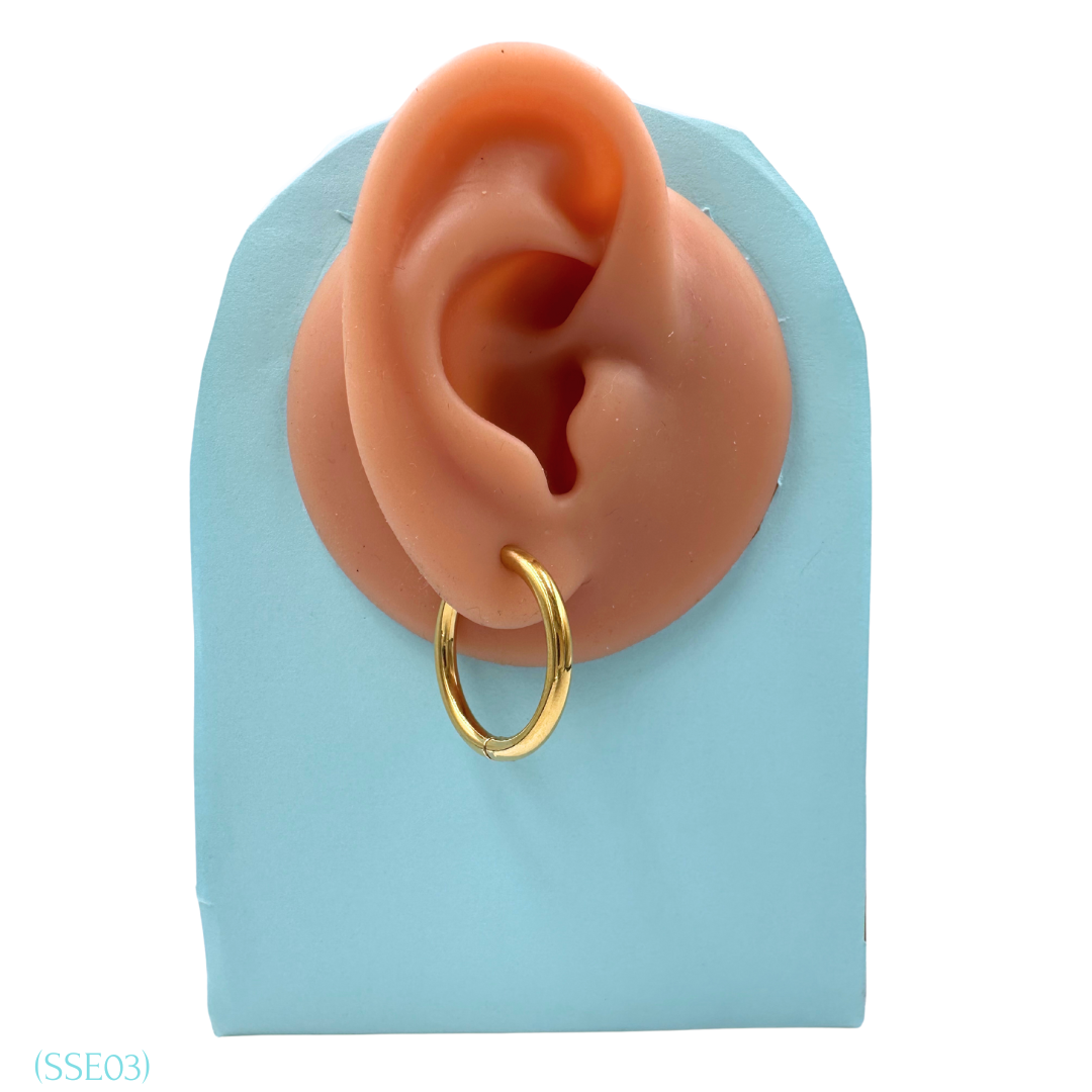 Stainless Steel Earrings SSE03