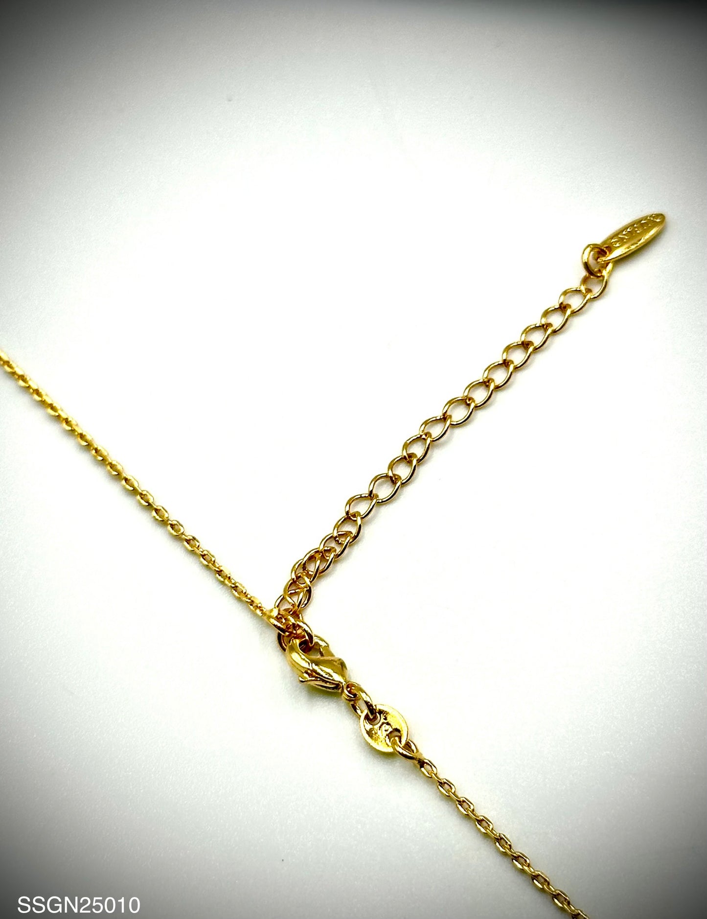 Stainless Steel Necklace (SSGN25010)