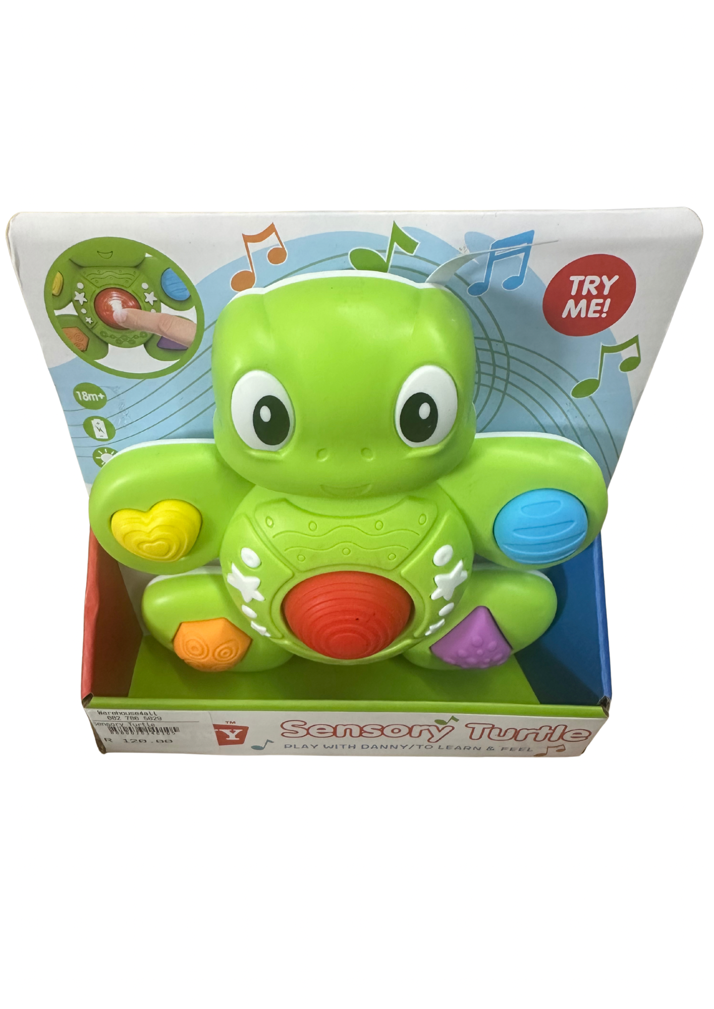 Sensory Turtle
