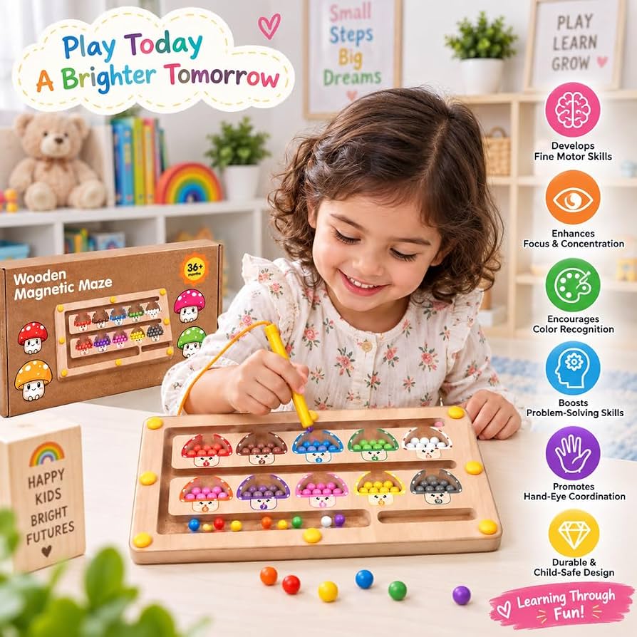 Edu Wooden Magnetic Maze