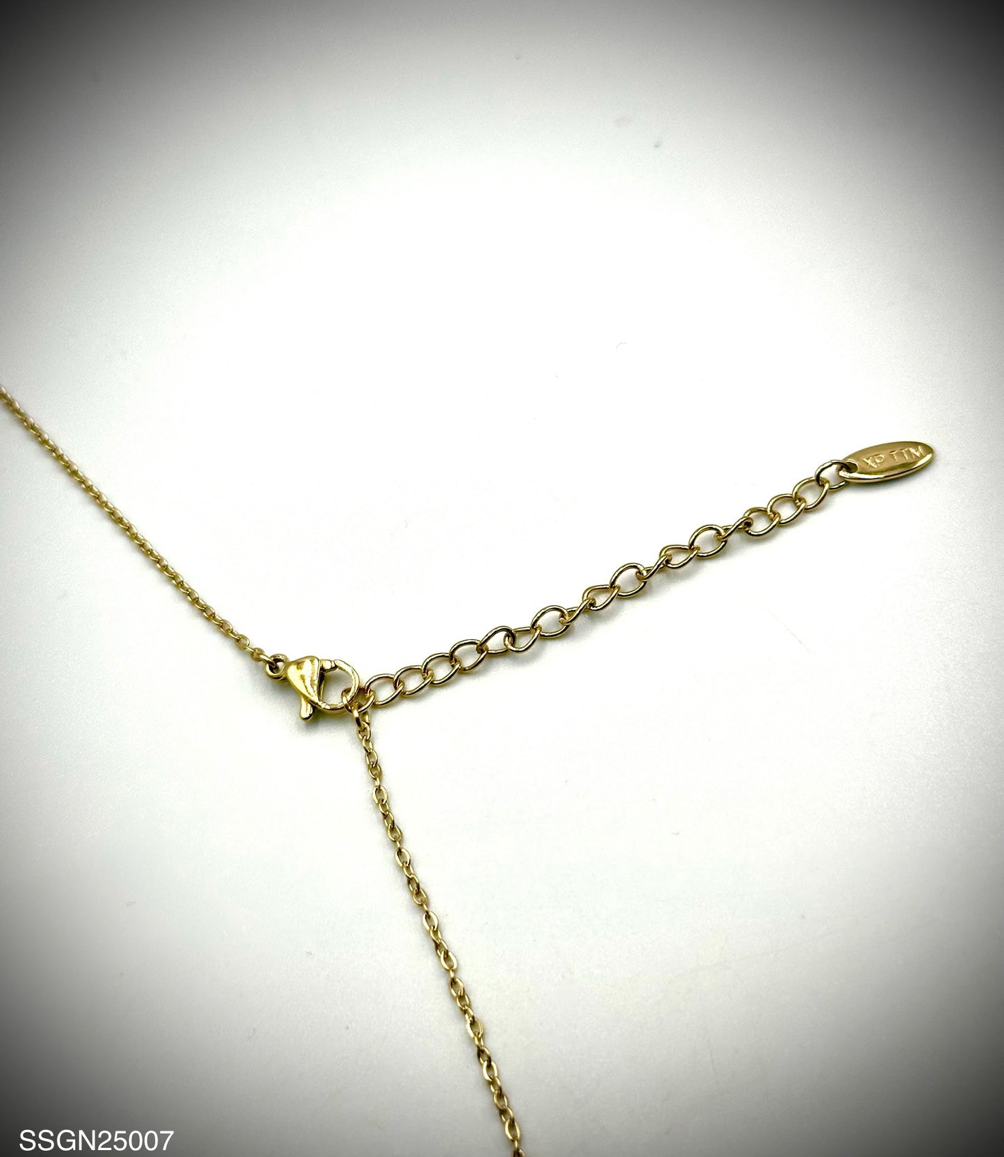 Stainless Steel Necklace (SSGN25007)