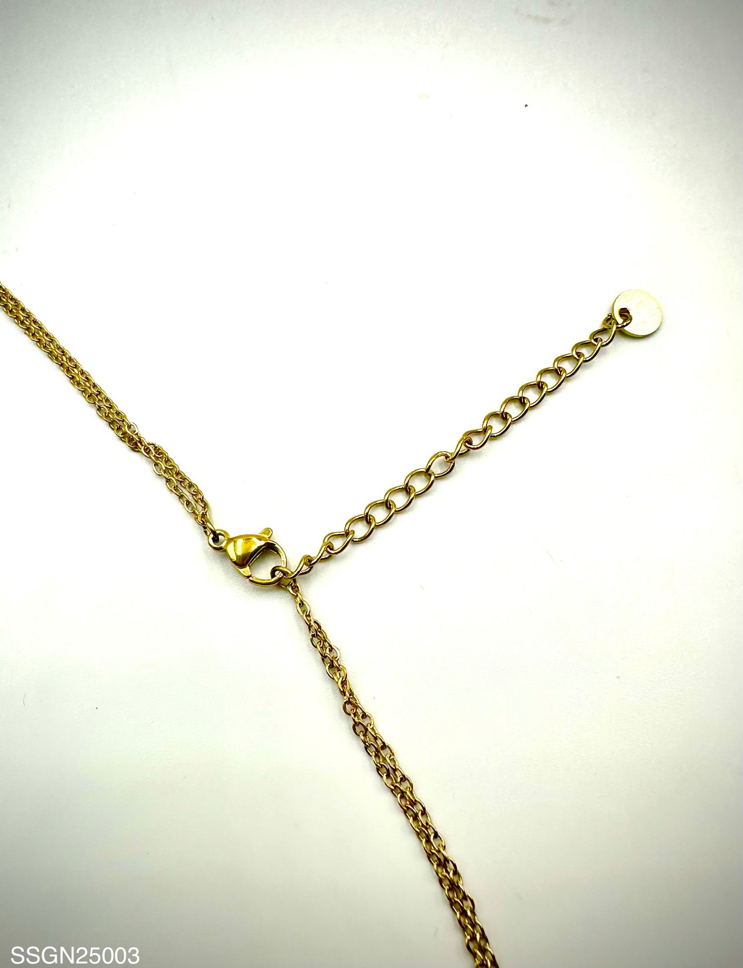 Stainless Steel Necklace (SSGN25003)