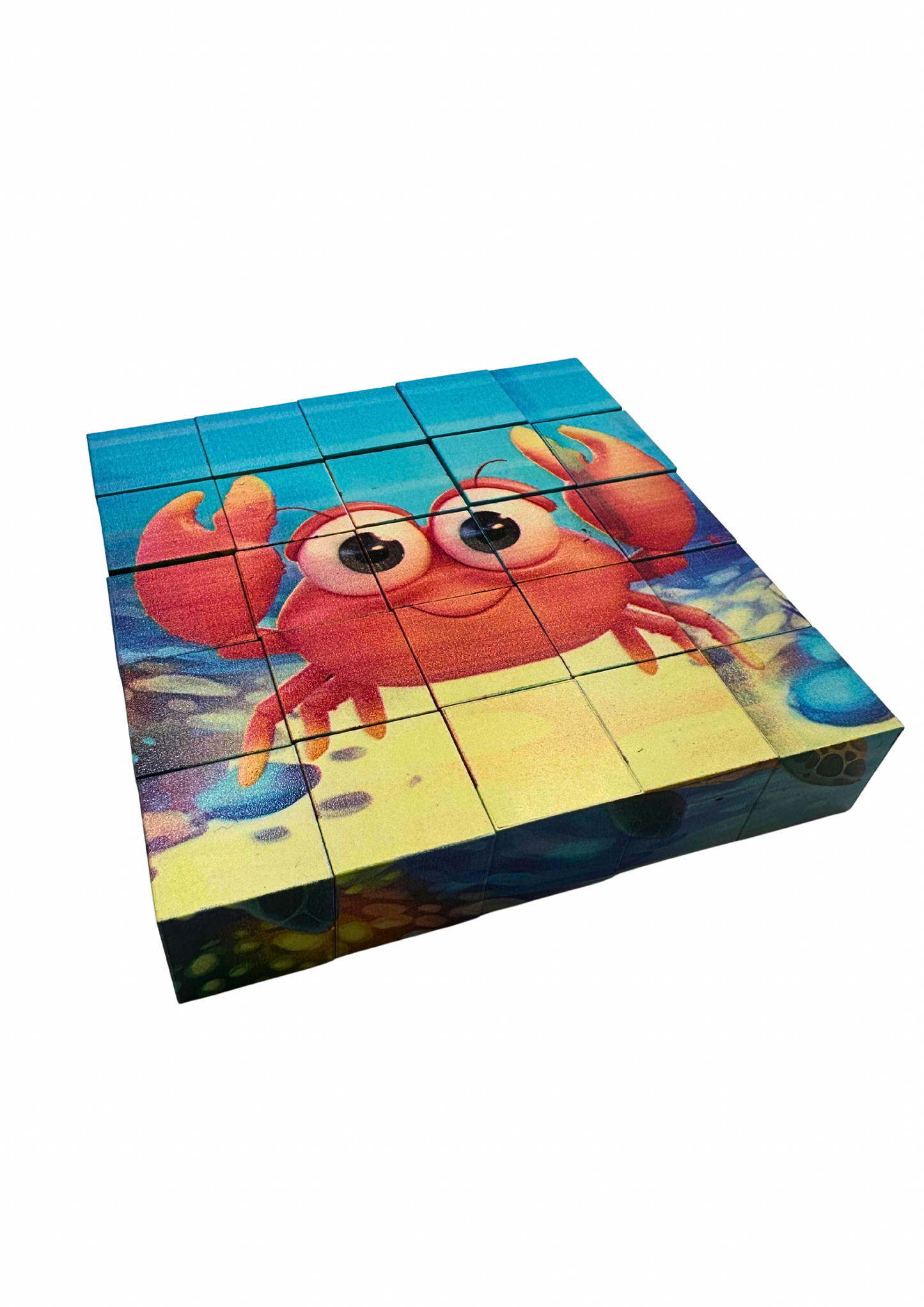 Magnetic Block Puzzle