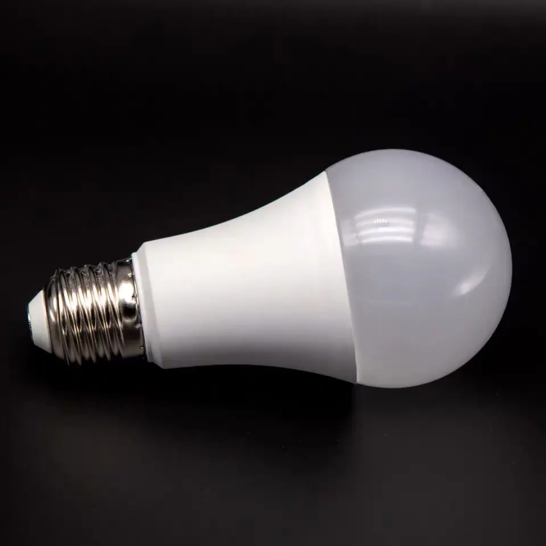 12W LED Bulb with Battery