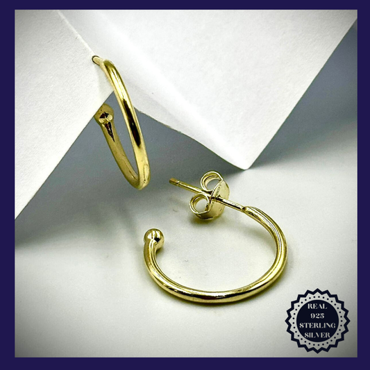 Sterling Silver Earrings (SGE25004)