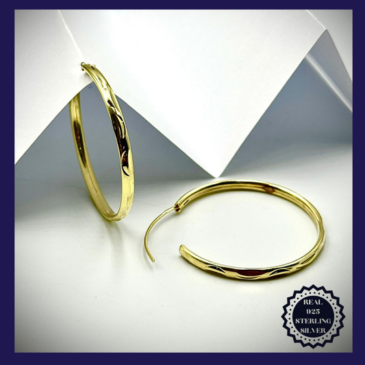 Sterling Silver Earrings (SGE25001)