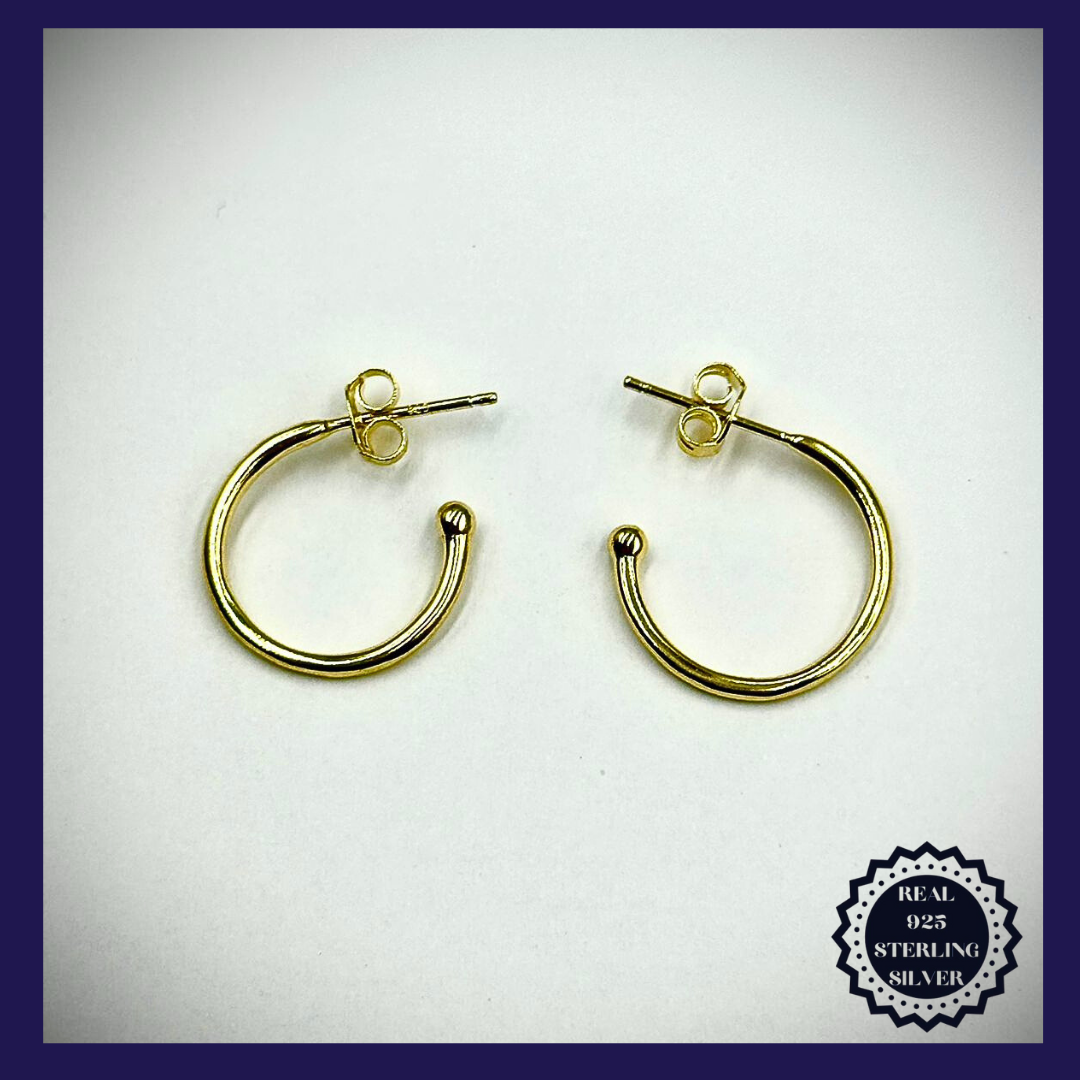 Sterling Silver Earrings (SGE25004)