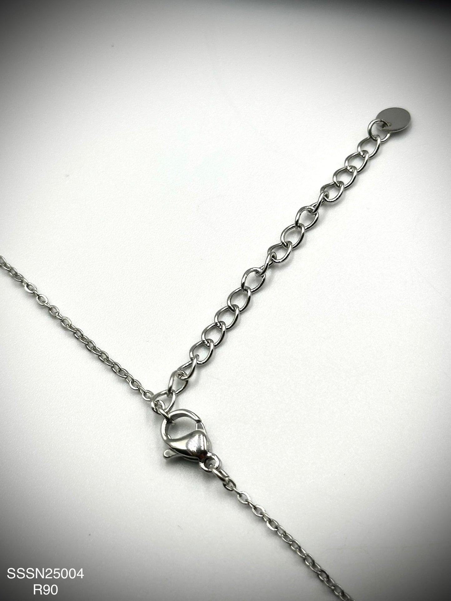 Stainless Steel Necklace (SSSN25004)