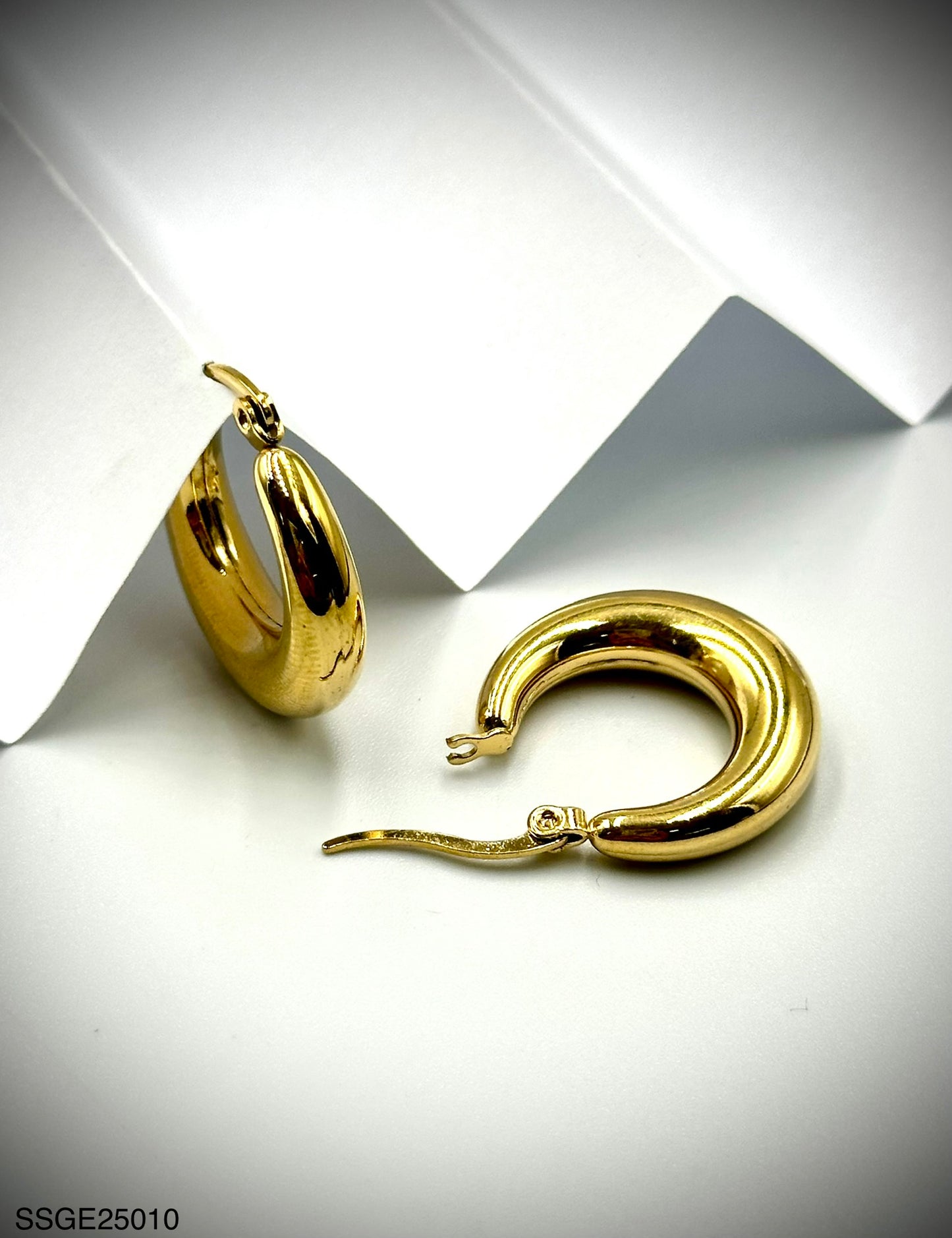 Stainless Steel Earrings (SSGE25010)