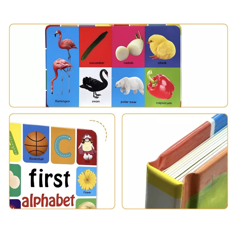 First 100 Animals Book