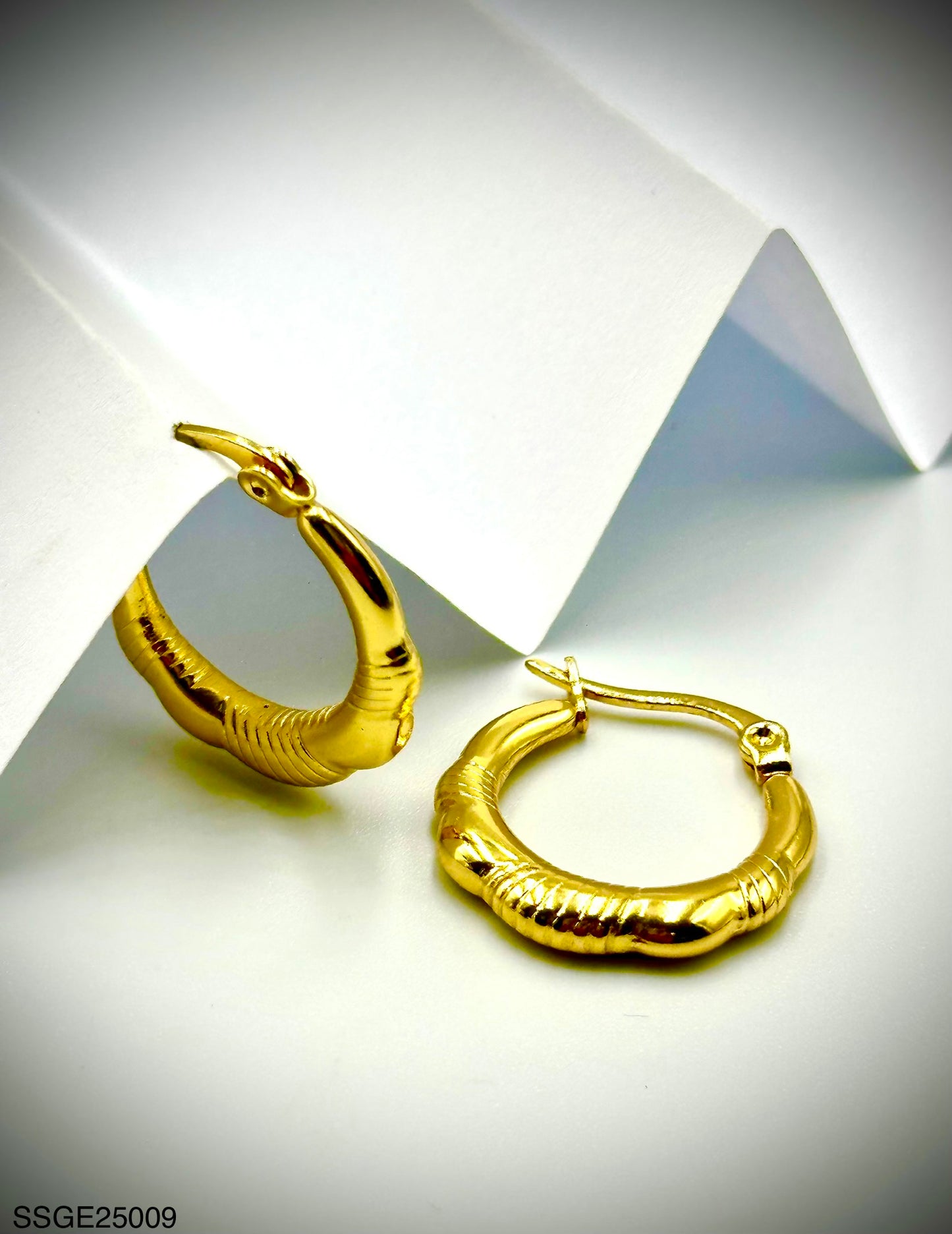 Stainless Steel Earrings (SSGE25009)