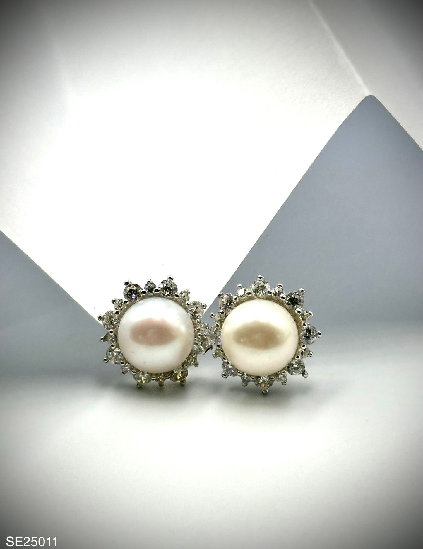 Sterling Silver Earrings (SE25011)