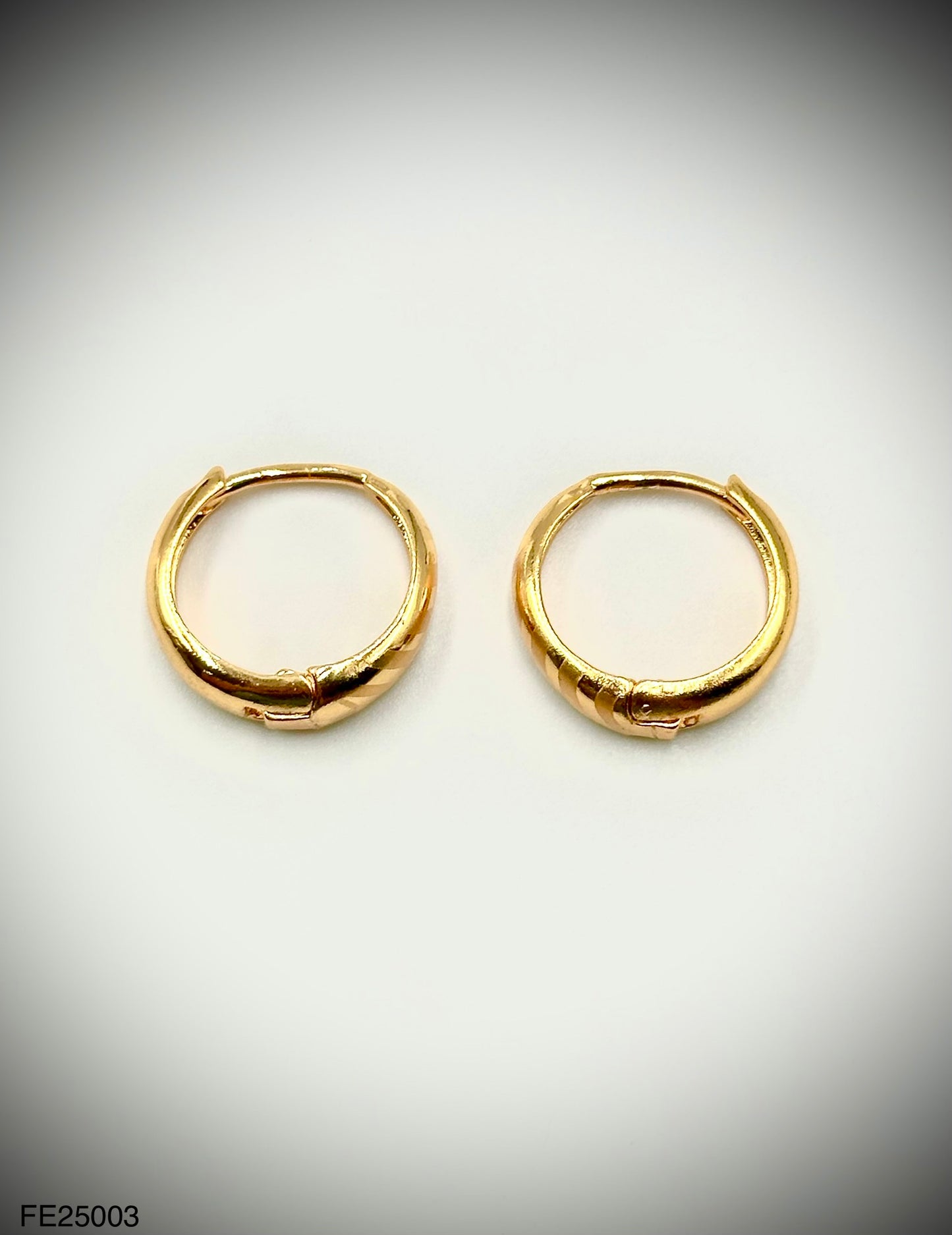 Fashion Earrings (FE25003)