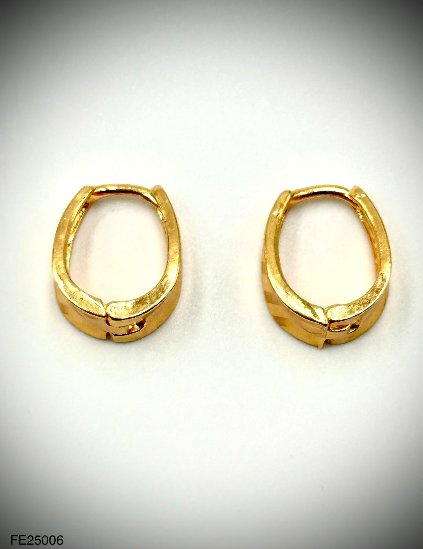 Fashion Earrings (FE25006)