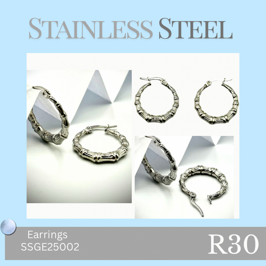 Stainless Steel Earrings (SSSE25002)