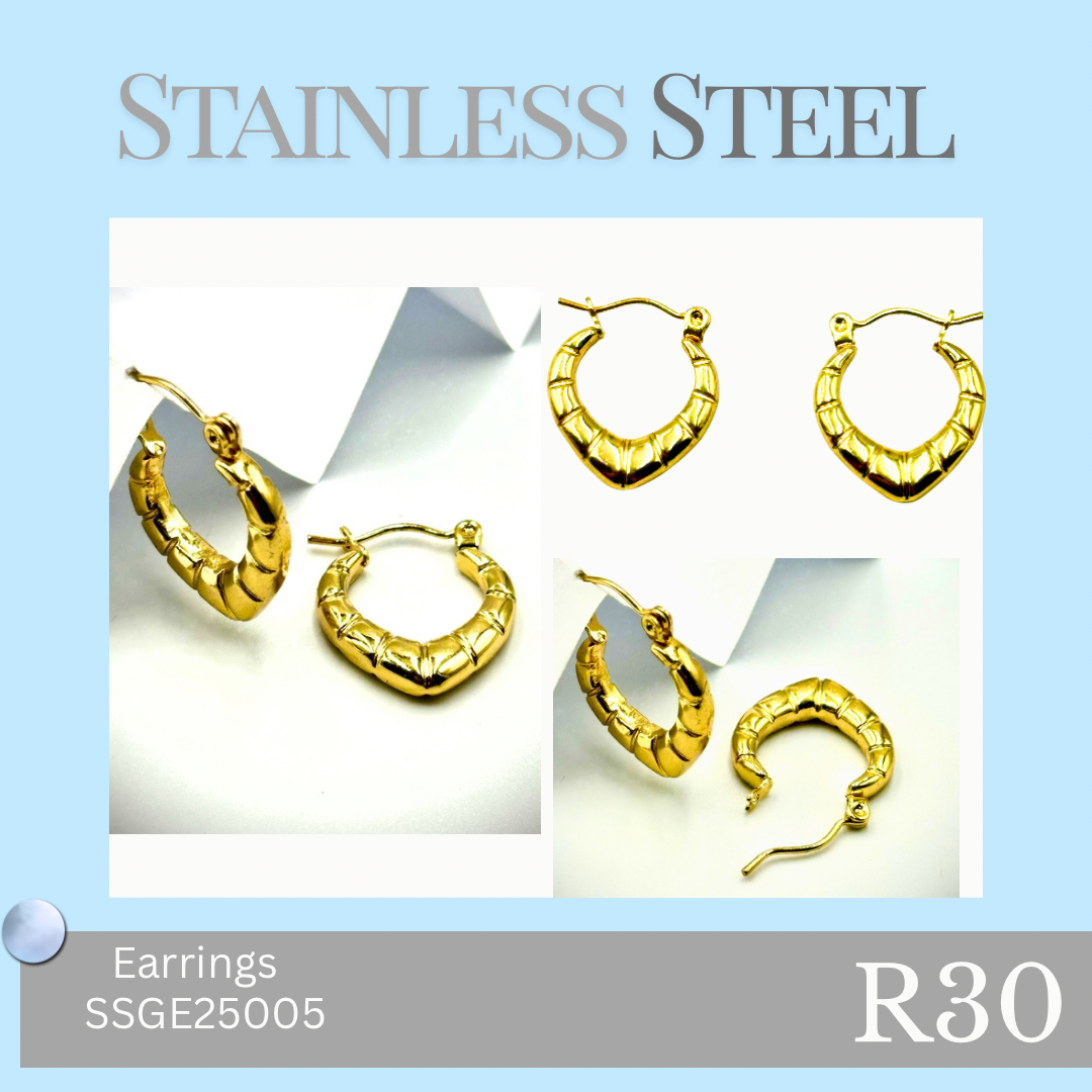 Stainless Steel Earrings (SSGE25005)