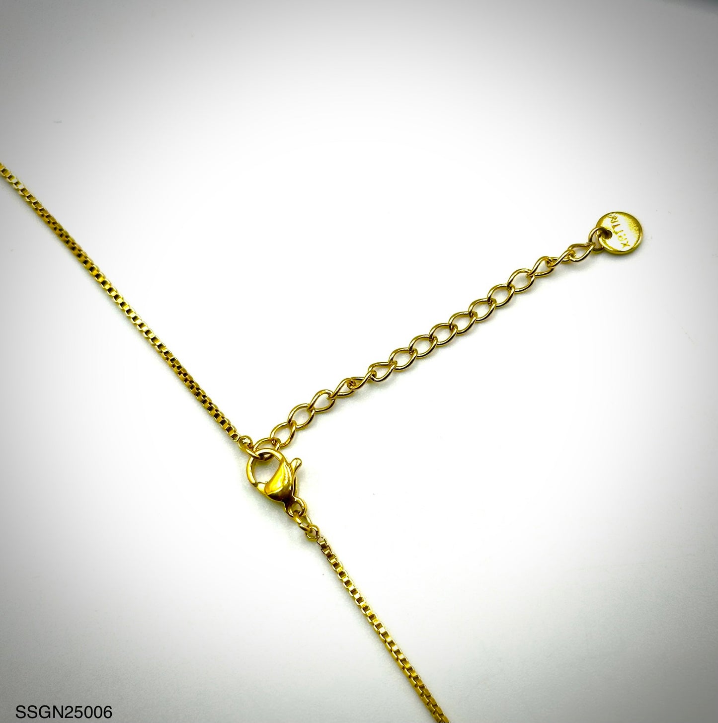 Stainless Steel Necklace (SSGN25006)