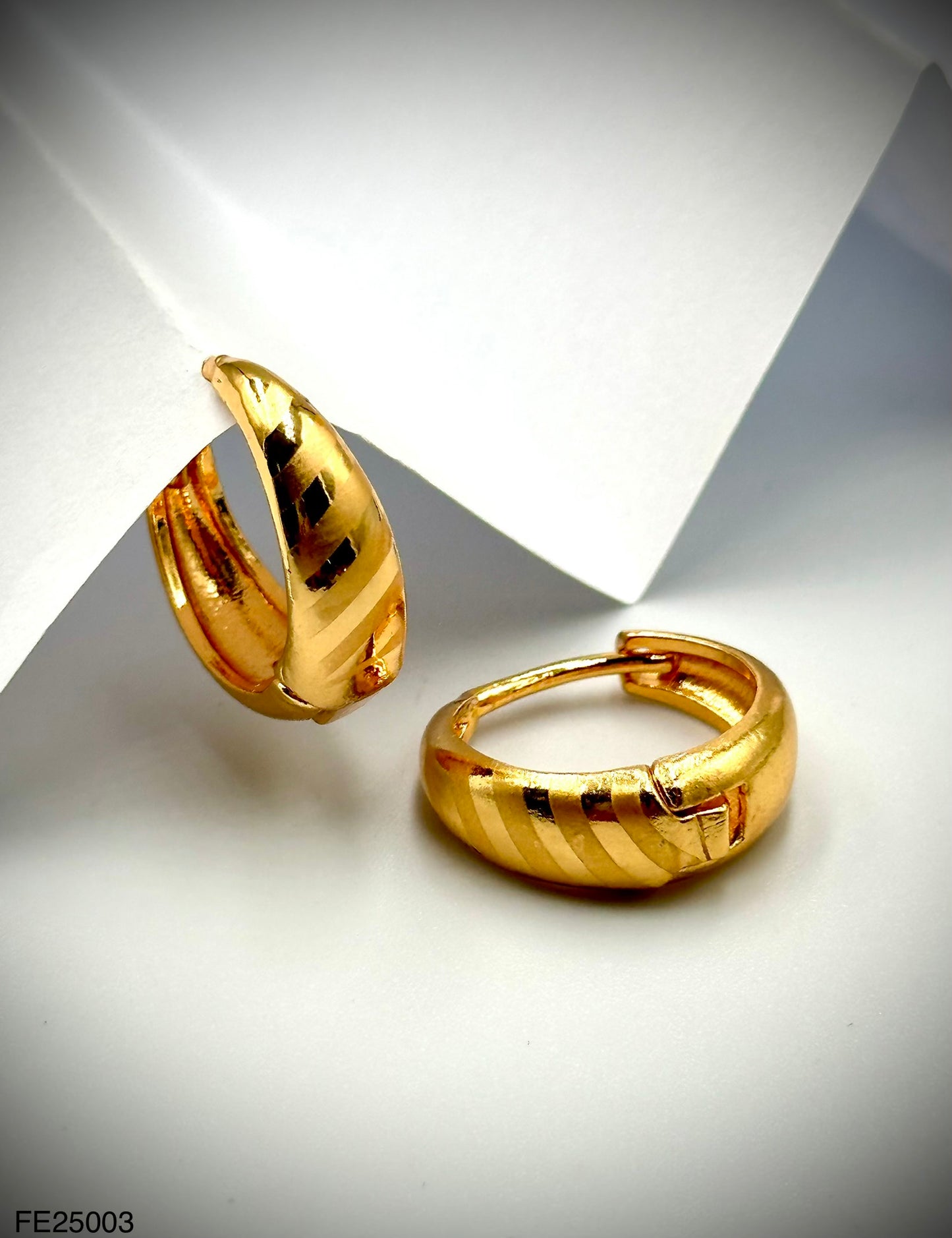 Fashion Earrings (FE25003)