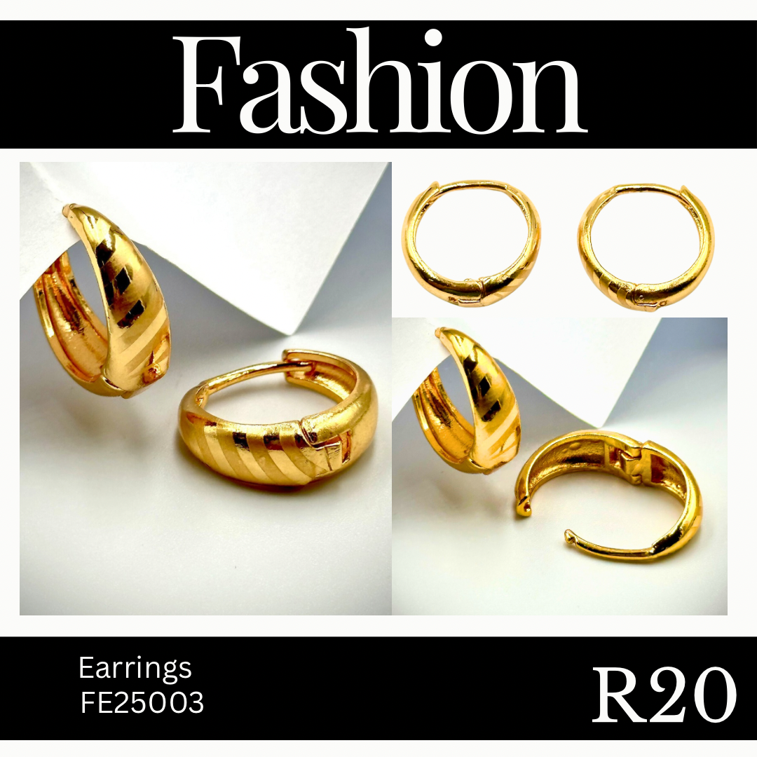 Fashion Earrings (FE25003)