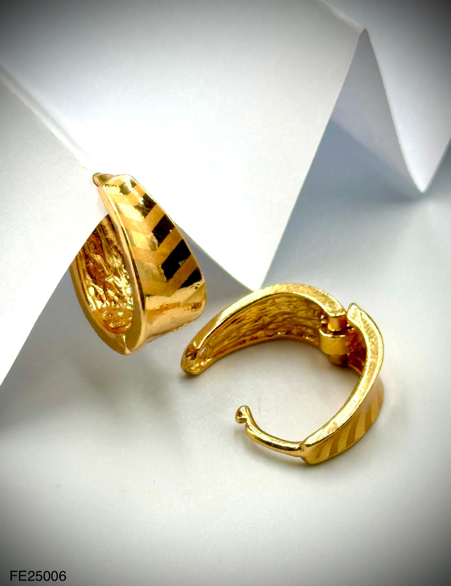 Fashion Earrings (FE25006)