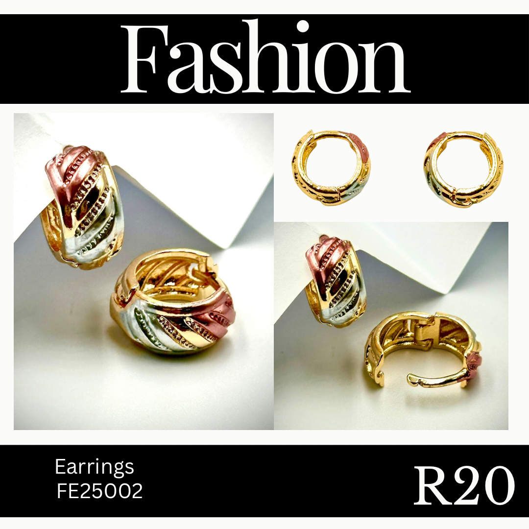 Fashion Earrings (FE25002)
