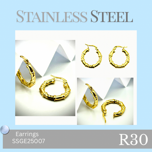 Stainless Steel Earrings (SSGE25007)