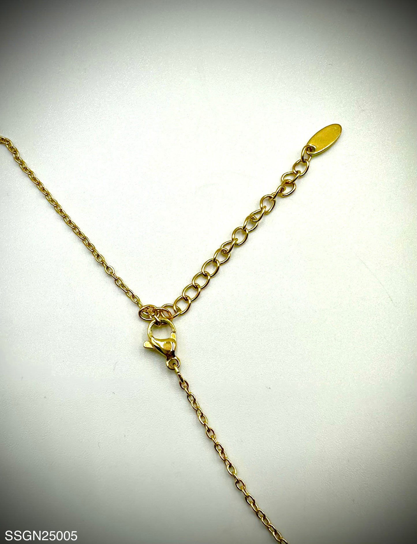 Stainless Steel Necklace (SSGN25005)