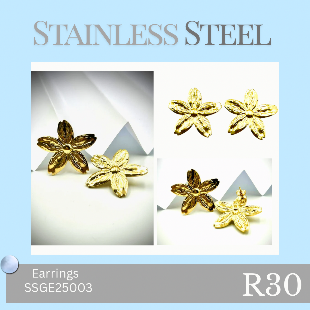 Stainless Steel Earrings (SSGE25003)