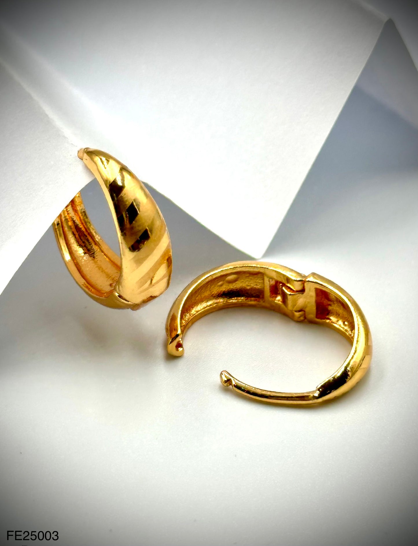 Fashion Earrings (FE25003)