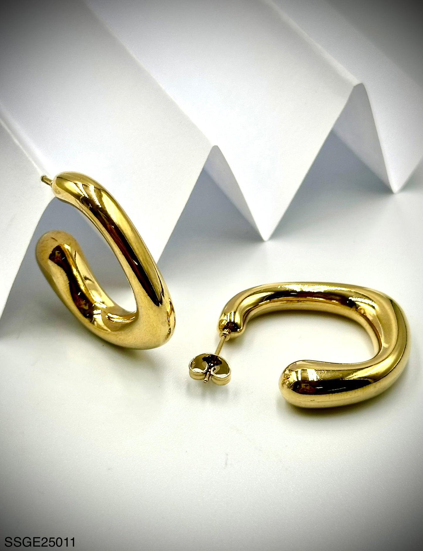 Stainless Steel Earrings (SSGE25011)
