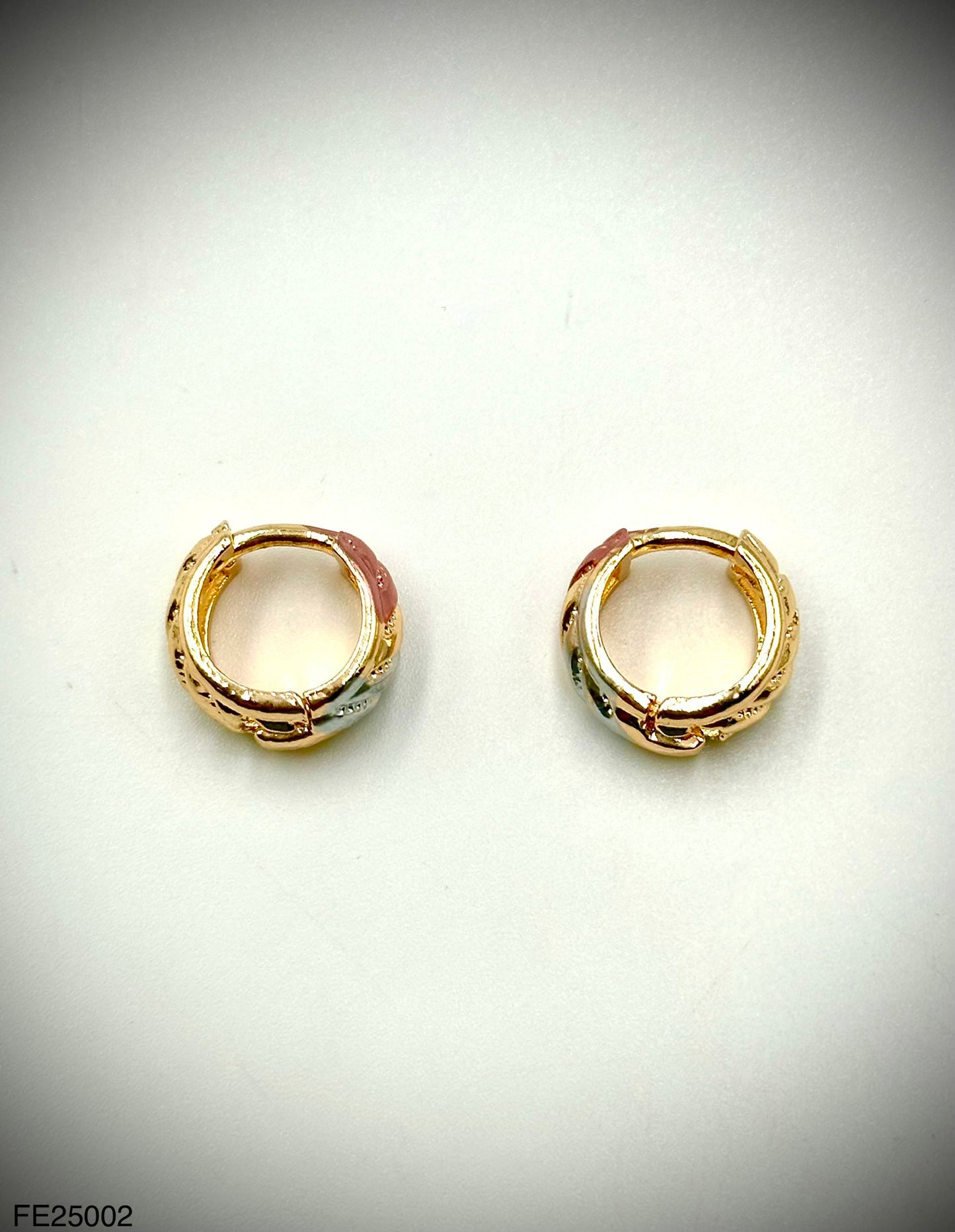 Fashion Earrings (FE25002)