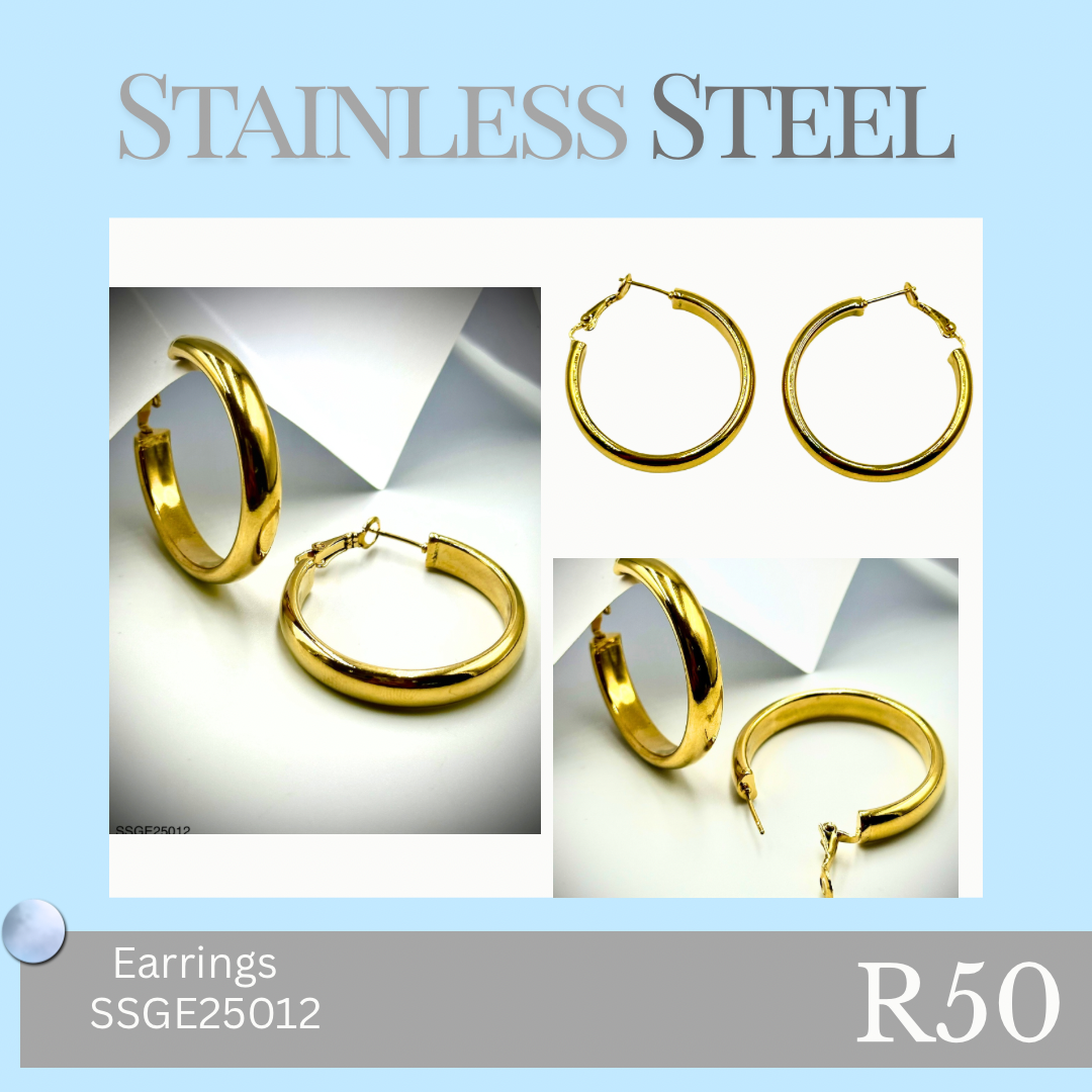 Stainless Steel Earrings (SSGE25012)