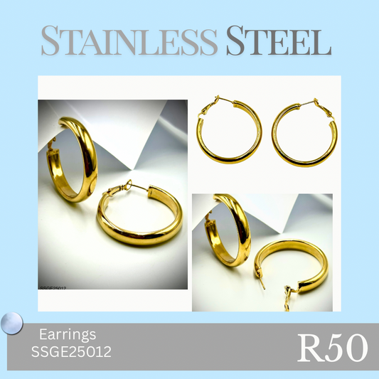 Stainless Steel Earrings (SSGE25012)