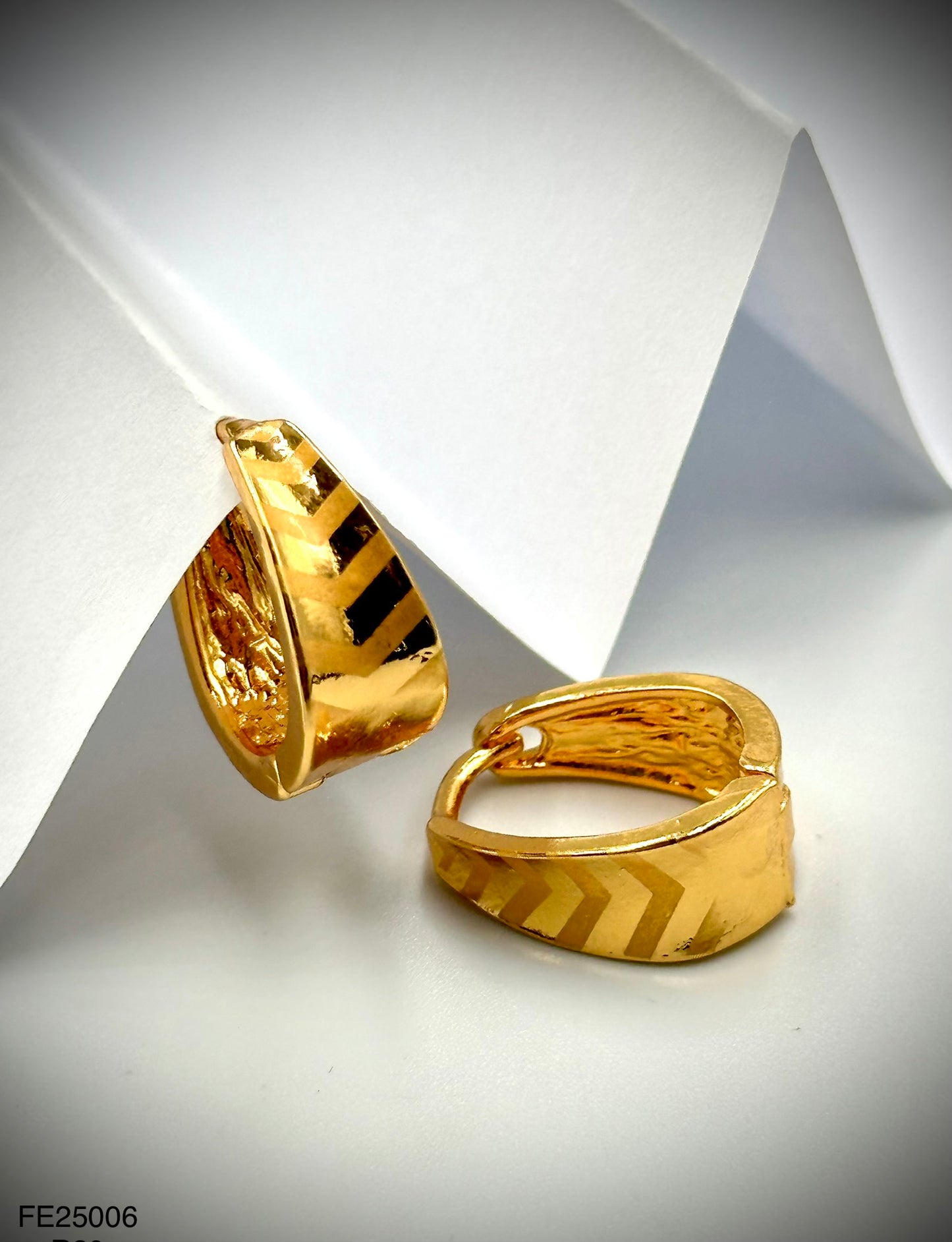 Fashion Earrings (FE25006)