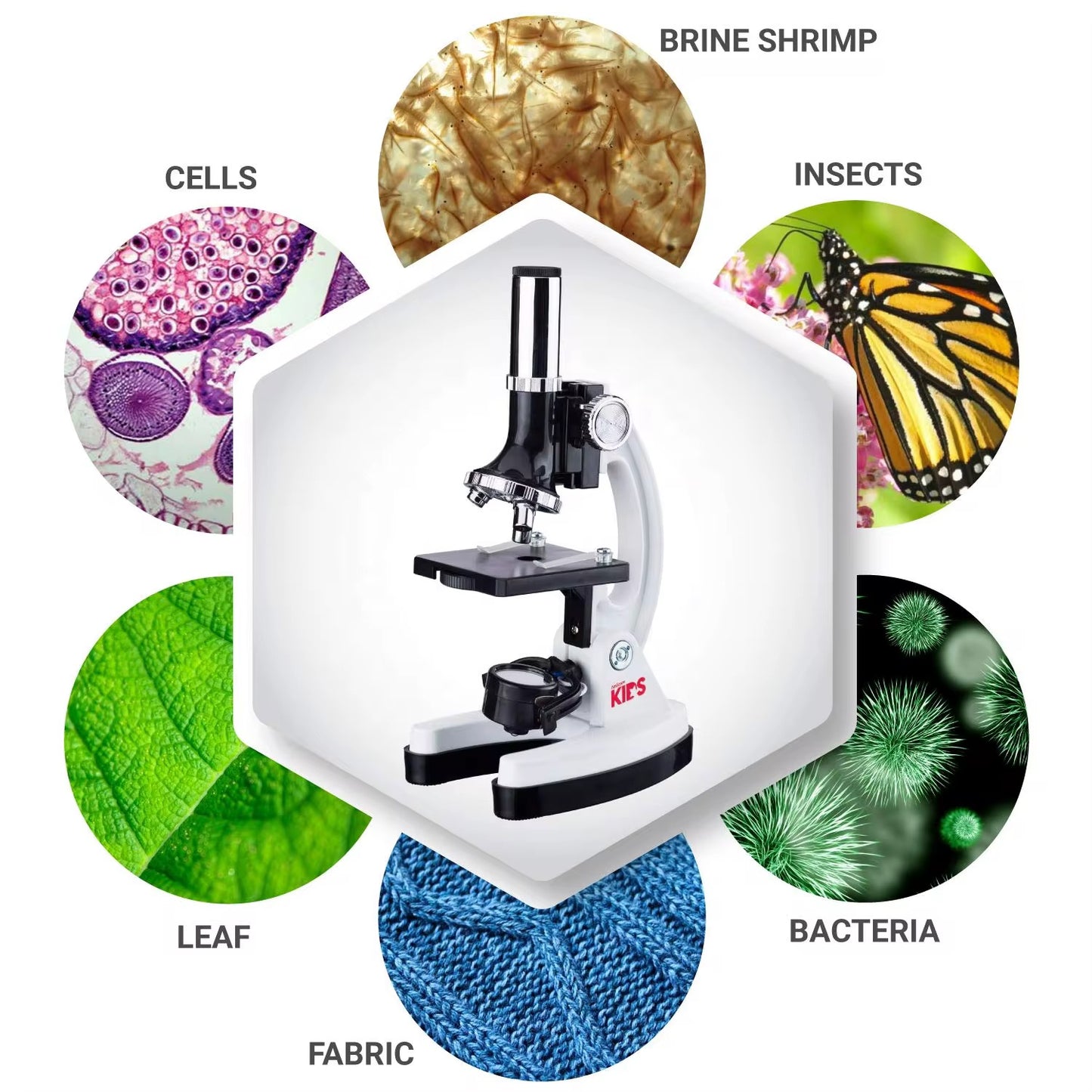 Science Microscope