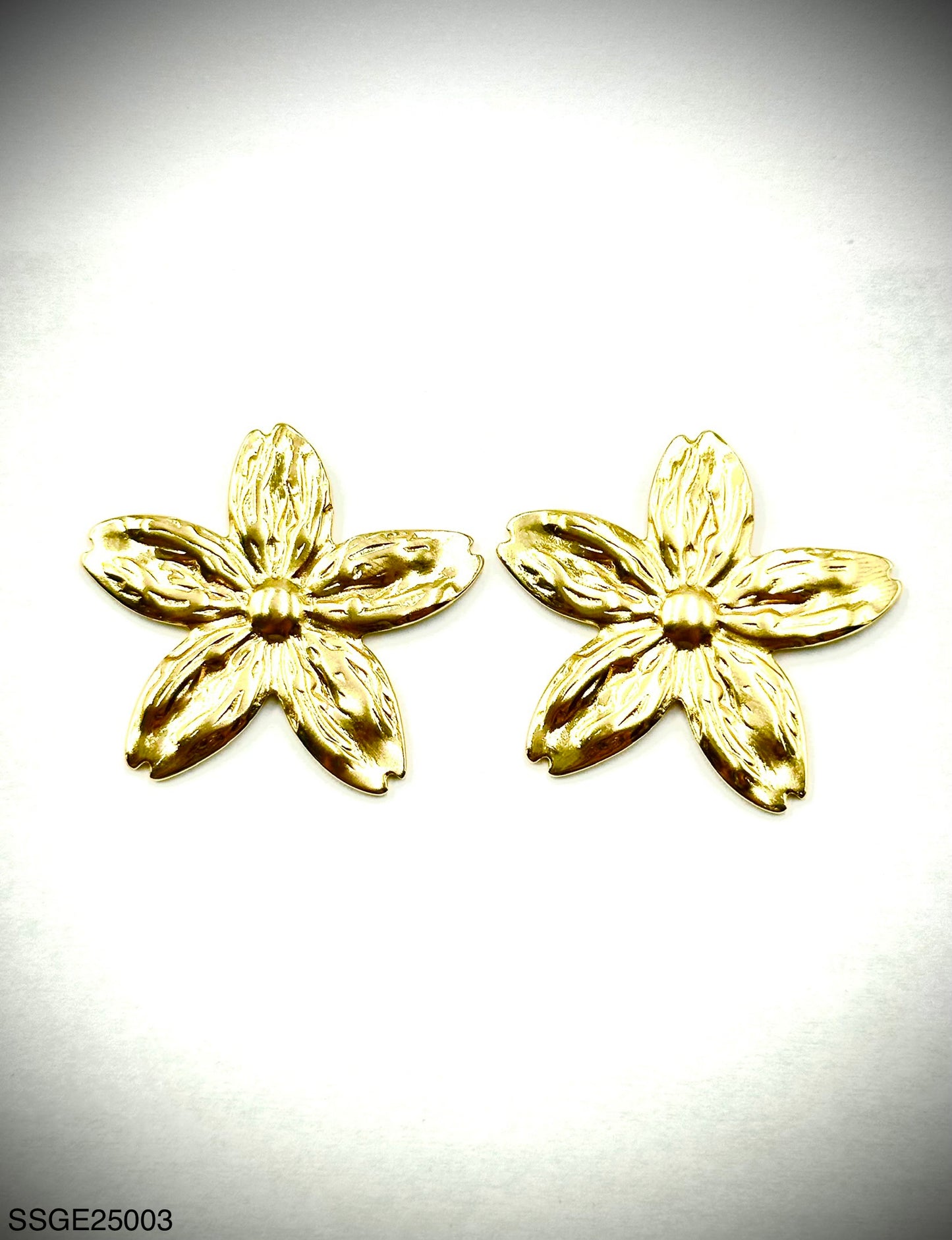Stainless Steel Earrings (SSGE25003)